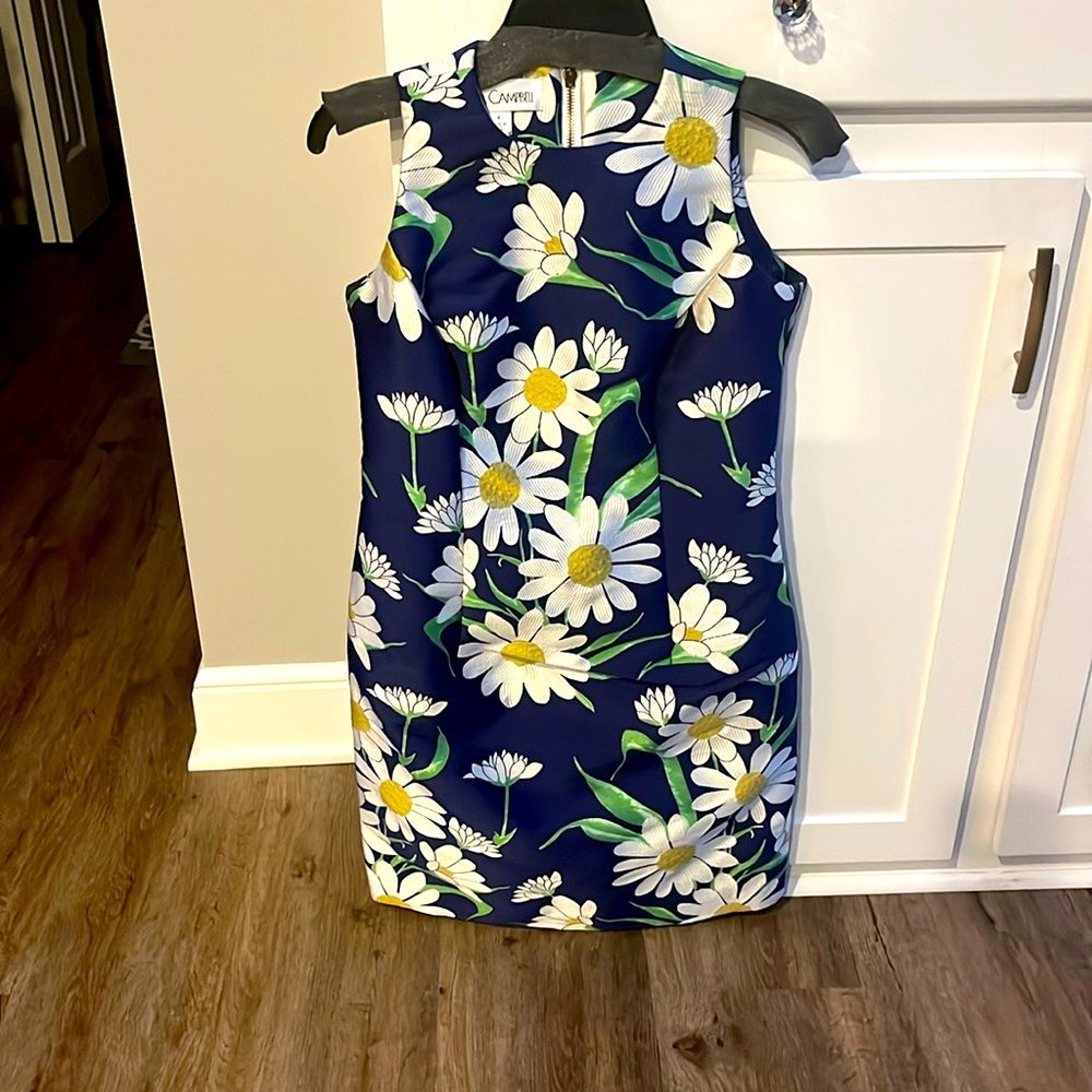 Sara Campbell dress